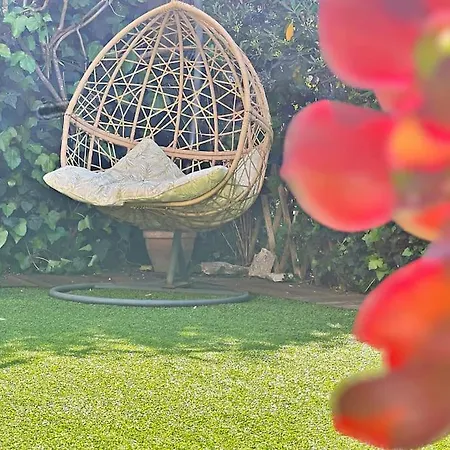 The Flower Garden *